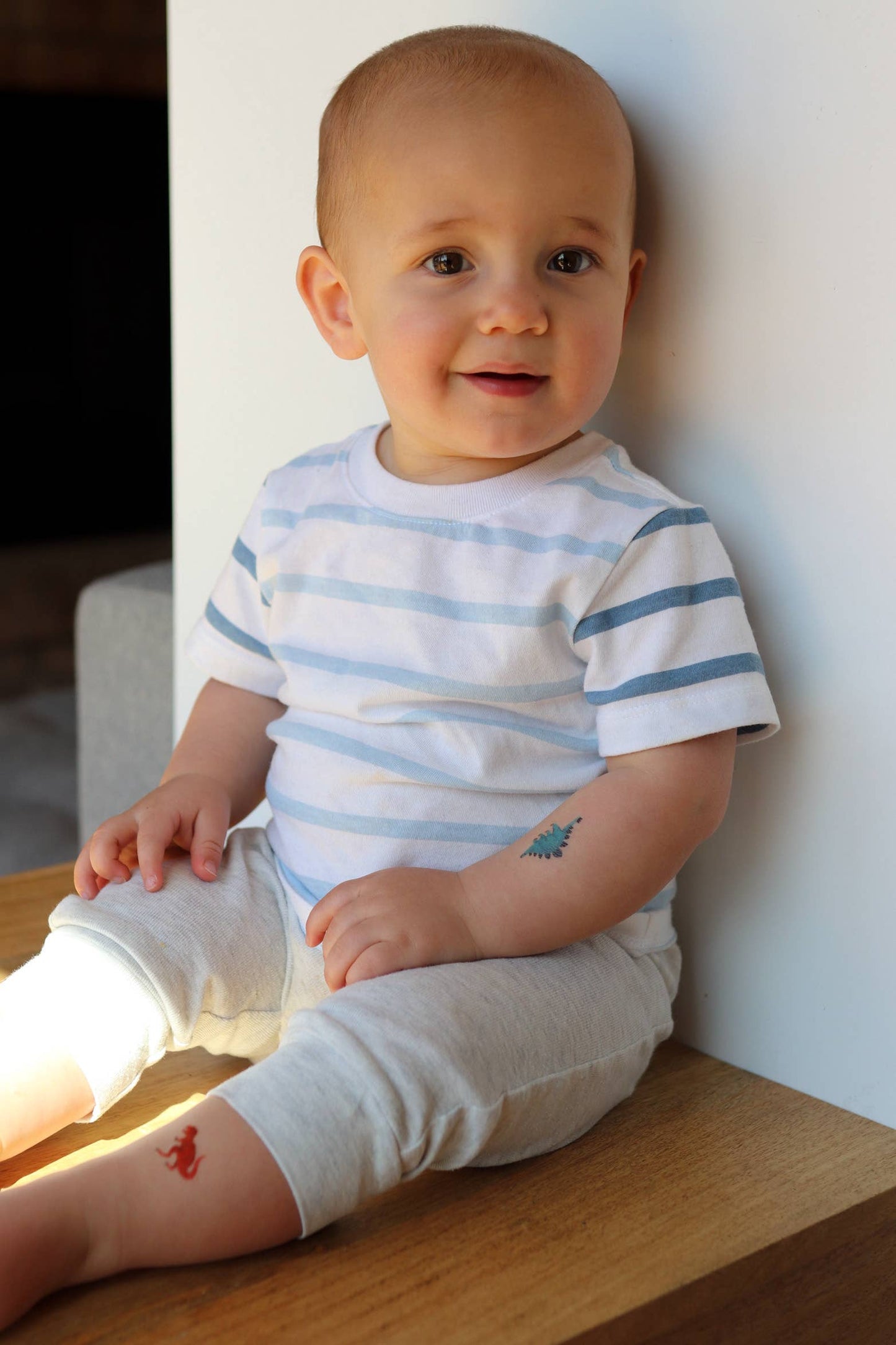 Dinosaurs Temporary Tattoos