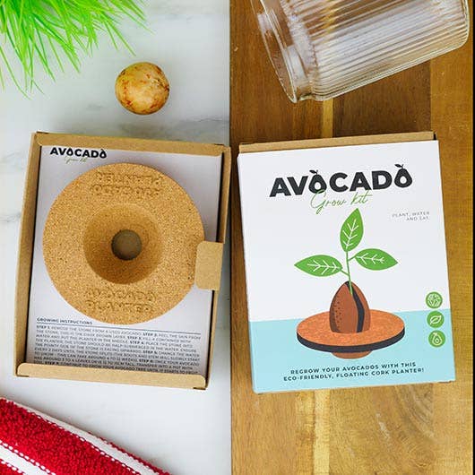 buy avocado seeds for planting Avocado Grow Kit – The Creamery