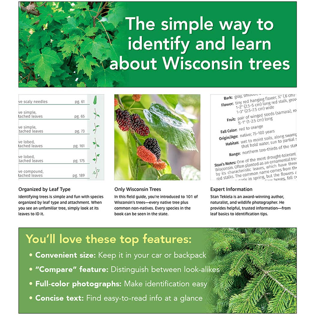Trees of Wisconsin Field Guide 2e