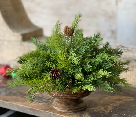 13" Bristlecone Cedar Half Sphere