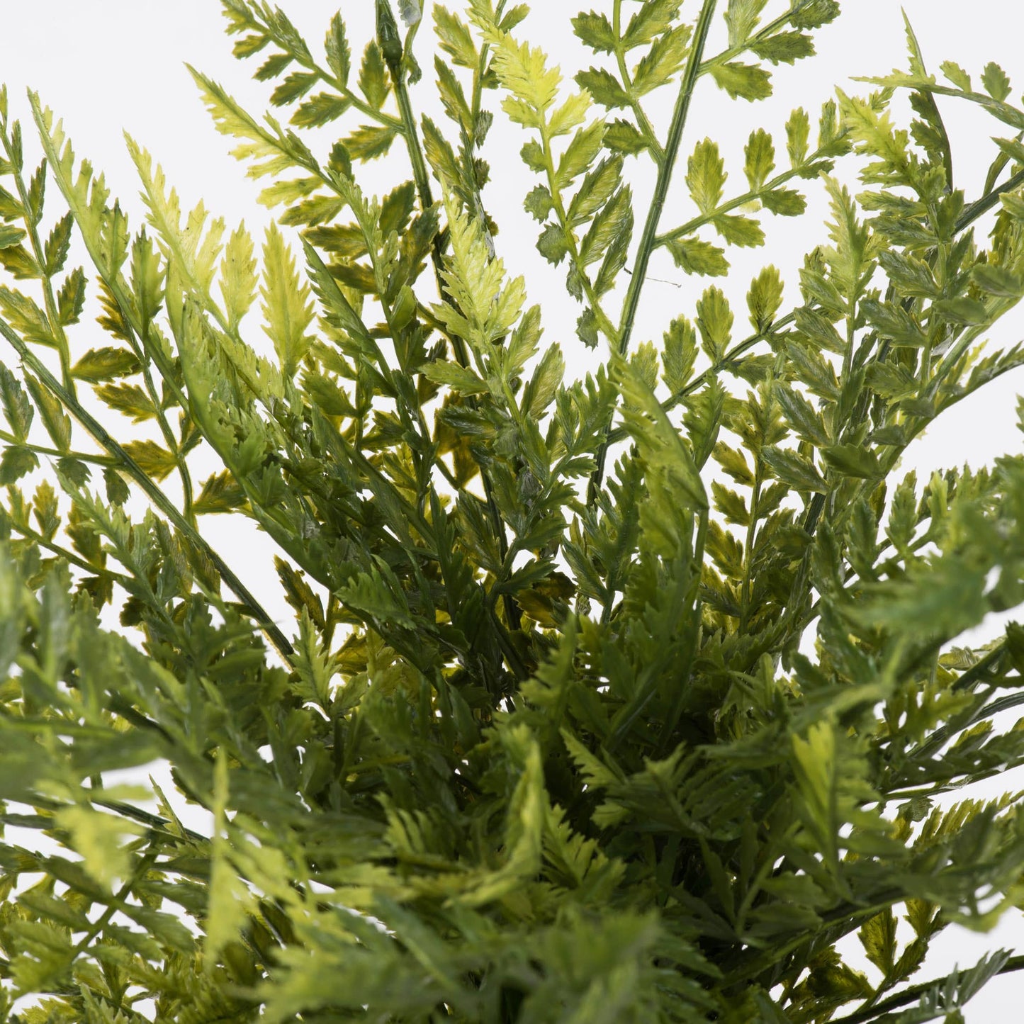 Artificial Green Boston Fern Bush