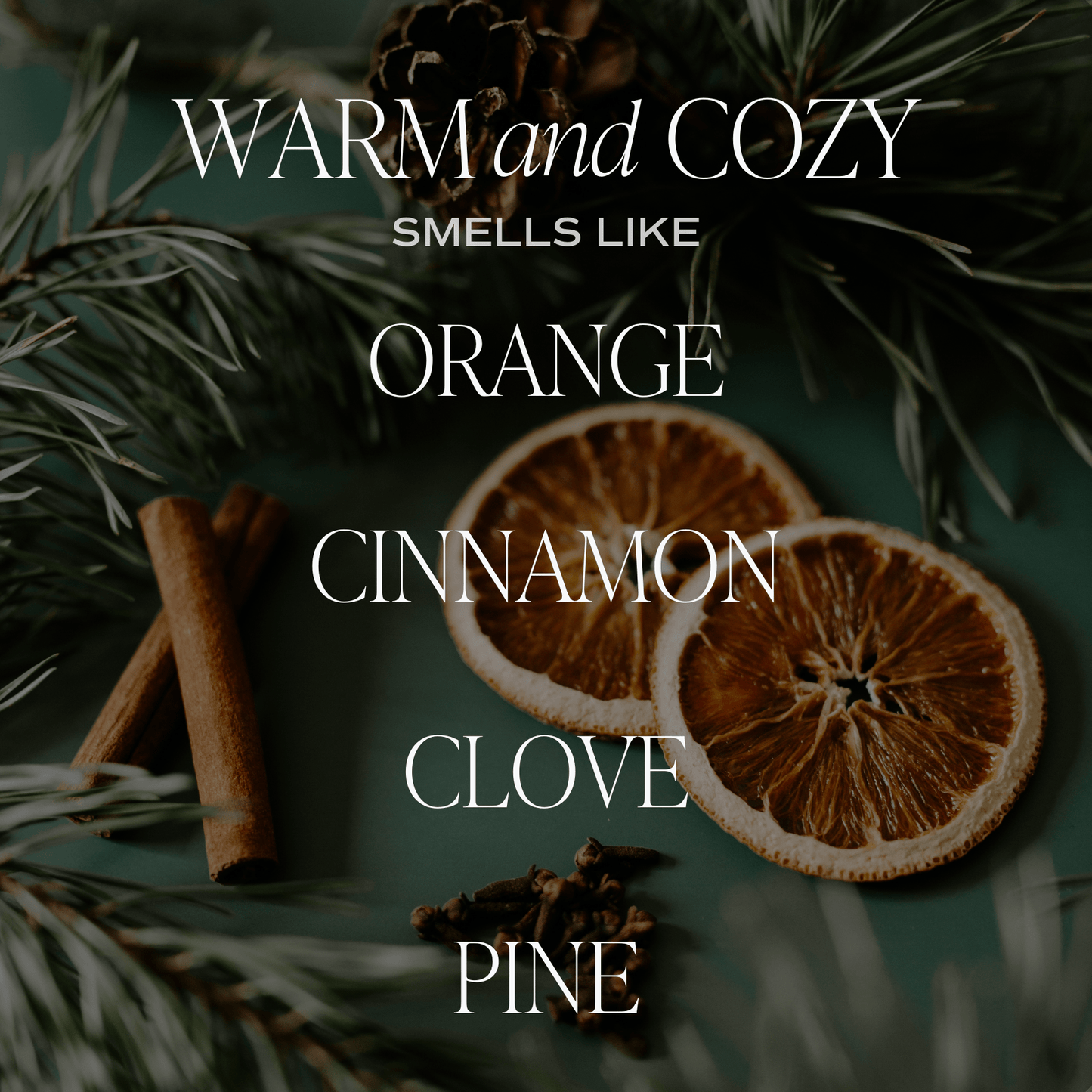 Warm and Cozy 12 oz Candle