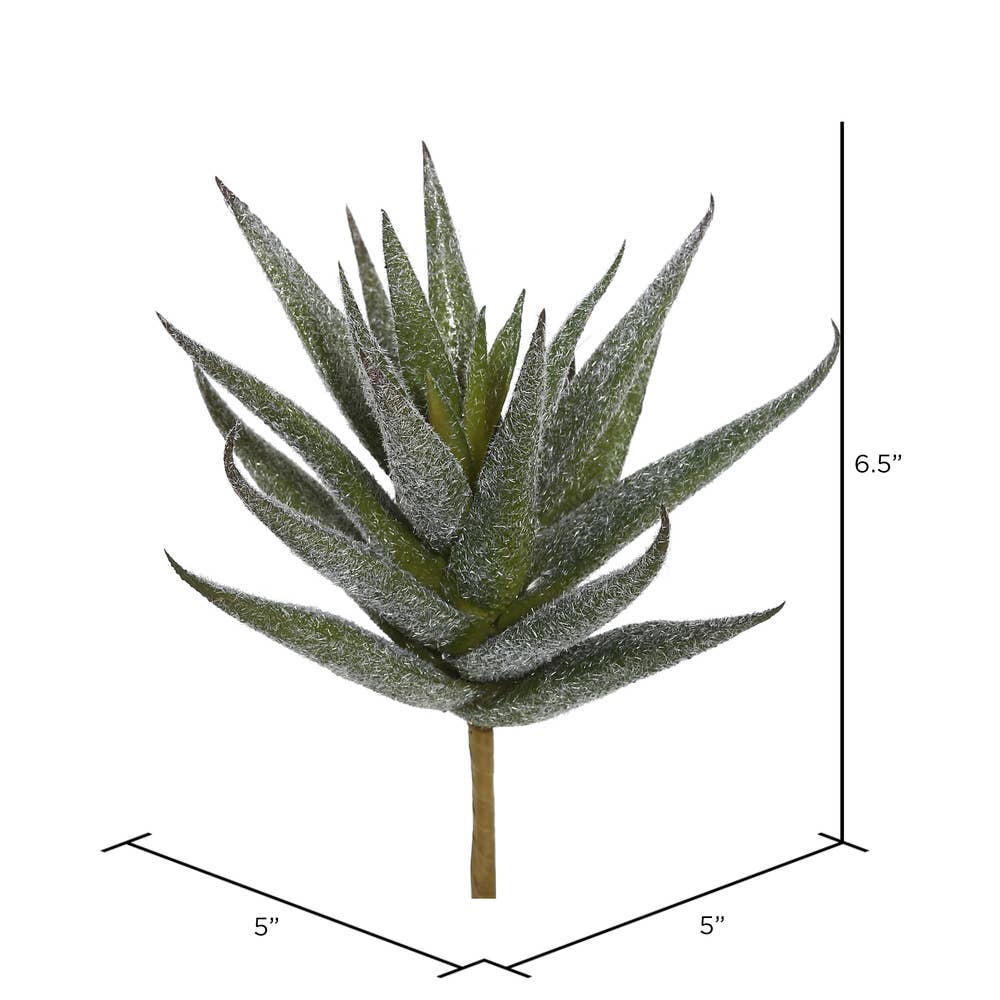 Aloe Vera Pick