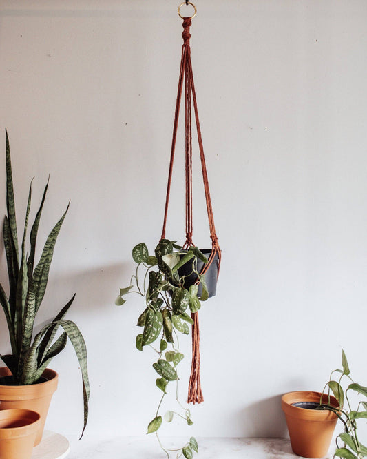 Plant Hanger