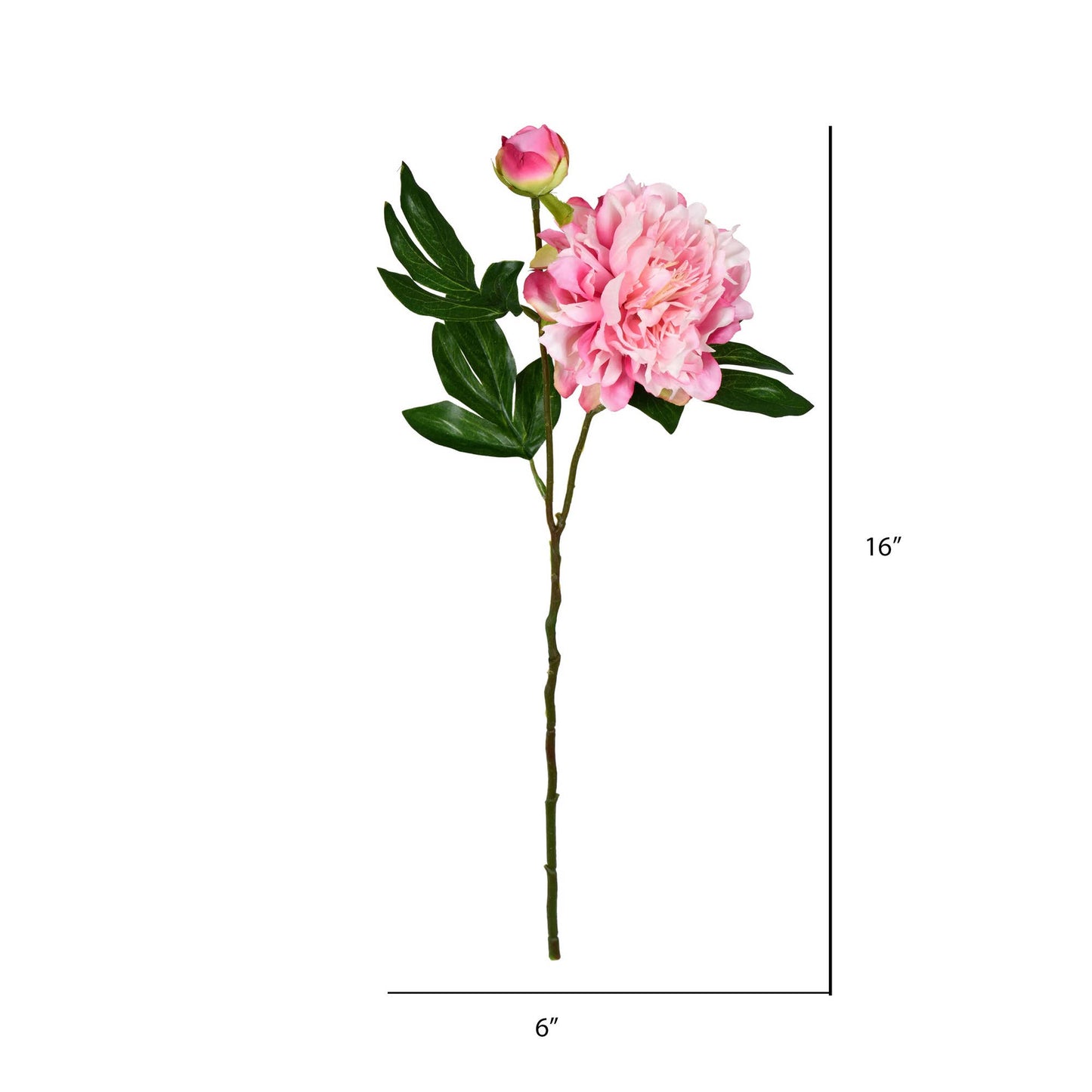 Peony Spray