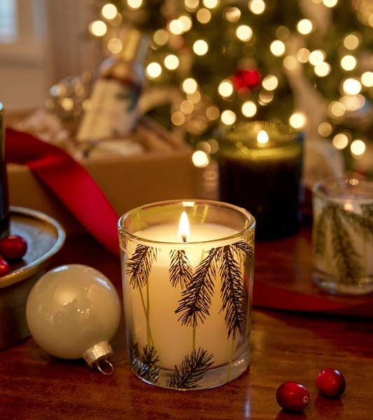 Frasier Fir Small Pine Needle