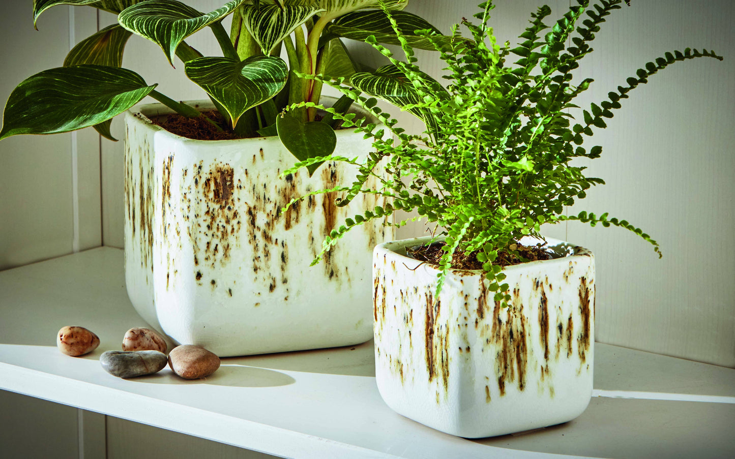 Tag Square Planter Small