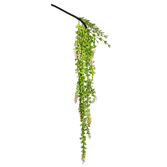 String of Pearls
