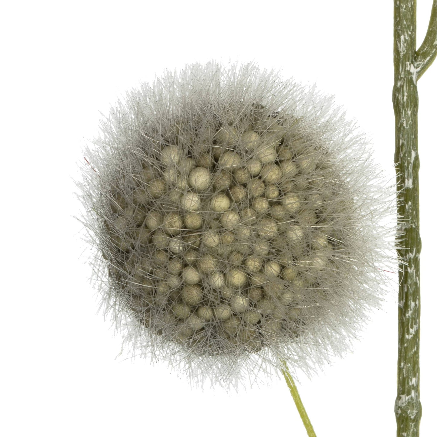 Pom Pom Spray