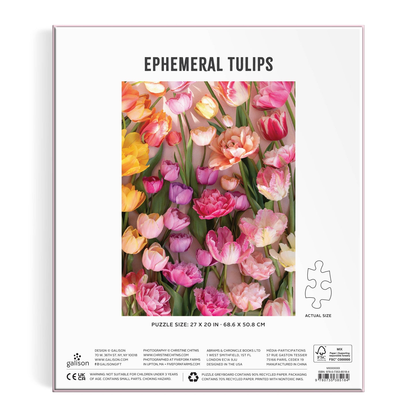 Tulips 1000 Piece Puzzle