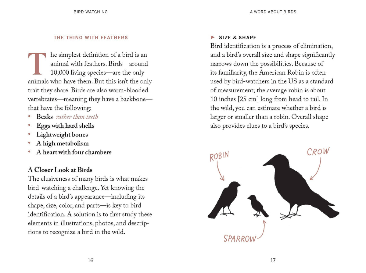 Pocket Nature: Bird-Watching