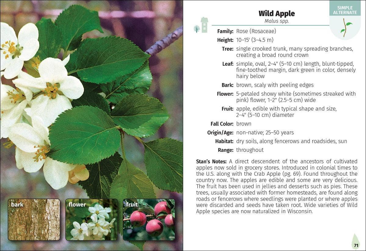 Trees of Wisconsin Field Guide 2e