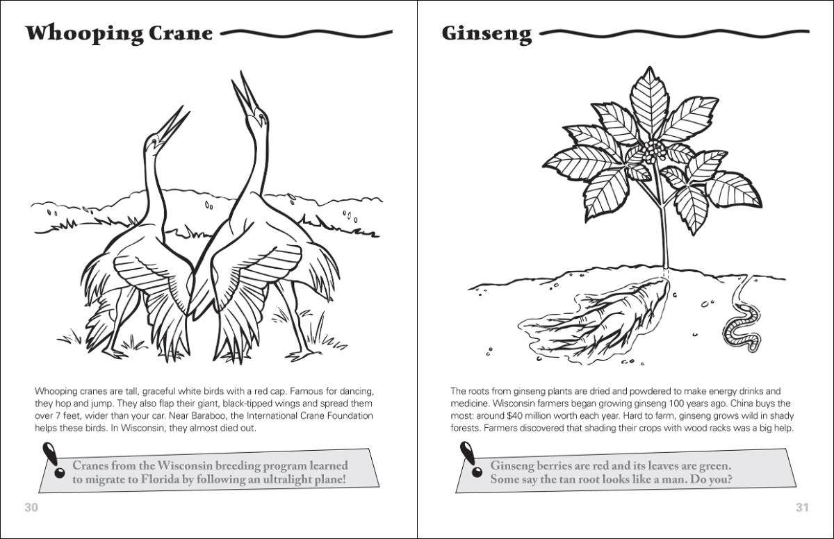 Wisconsin Activity Book