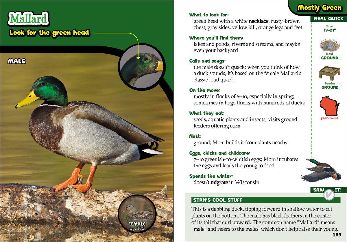 Kids' Guide to Birds of Wisconsin