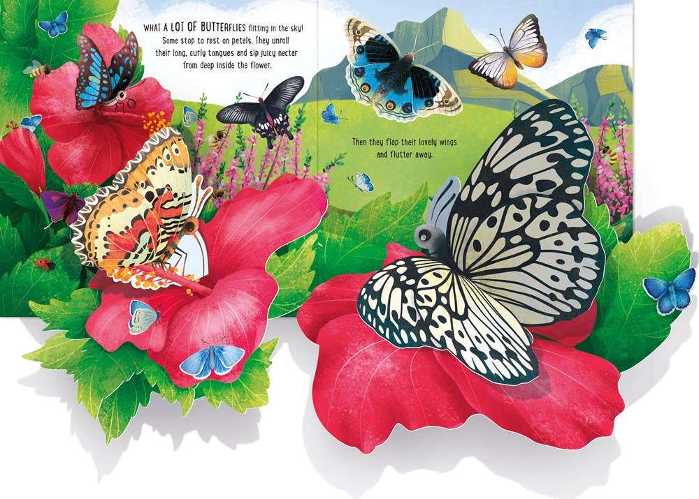Pop-Up Butterflies: Usborne