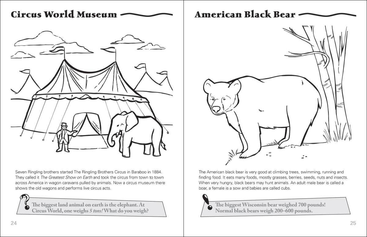 Wisconsin Activity Book