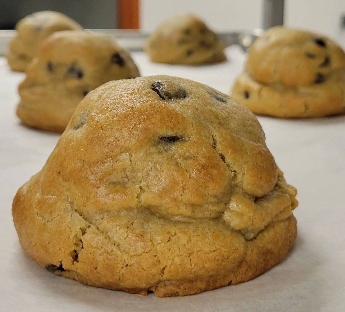 Gluten "Friendly" Chocolate Chip