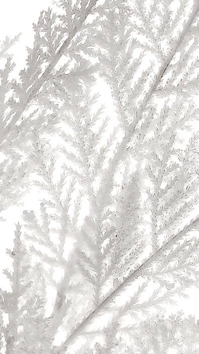 Snow Flocked White Cedar Pine Spray - 24"