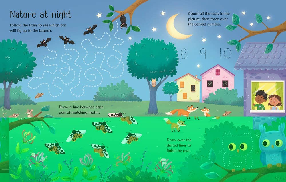 Wipe-Clean Nature Activities : Usborne