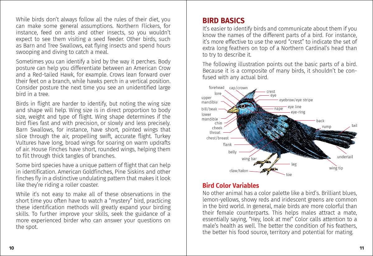 Birds of Wisconsin Field Guide 3e