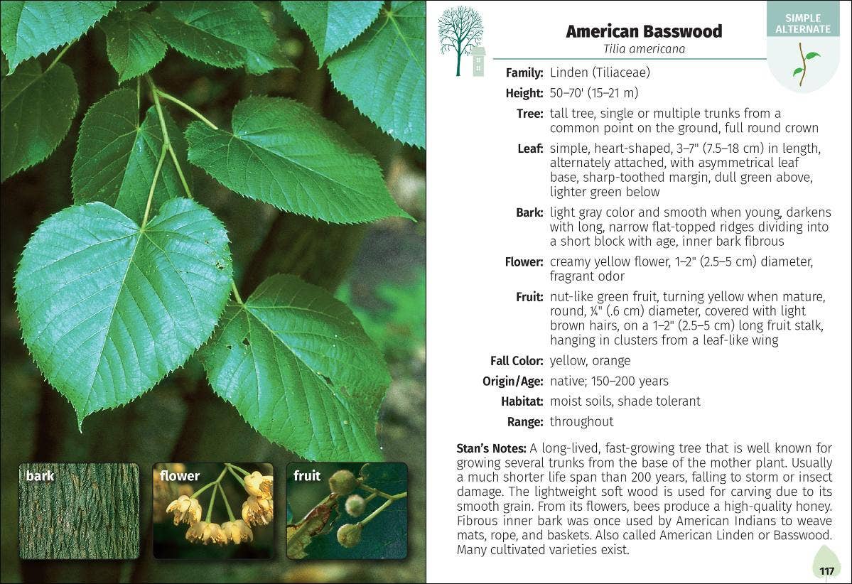 Trees of Wisconsin Field Guide 2e