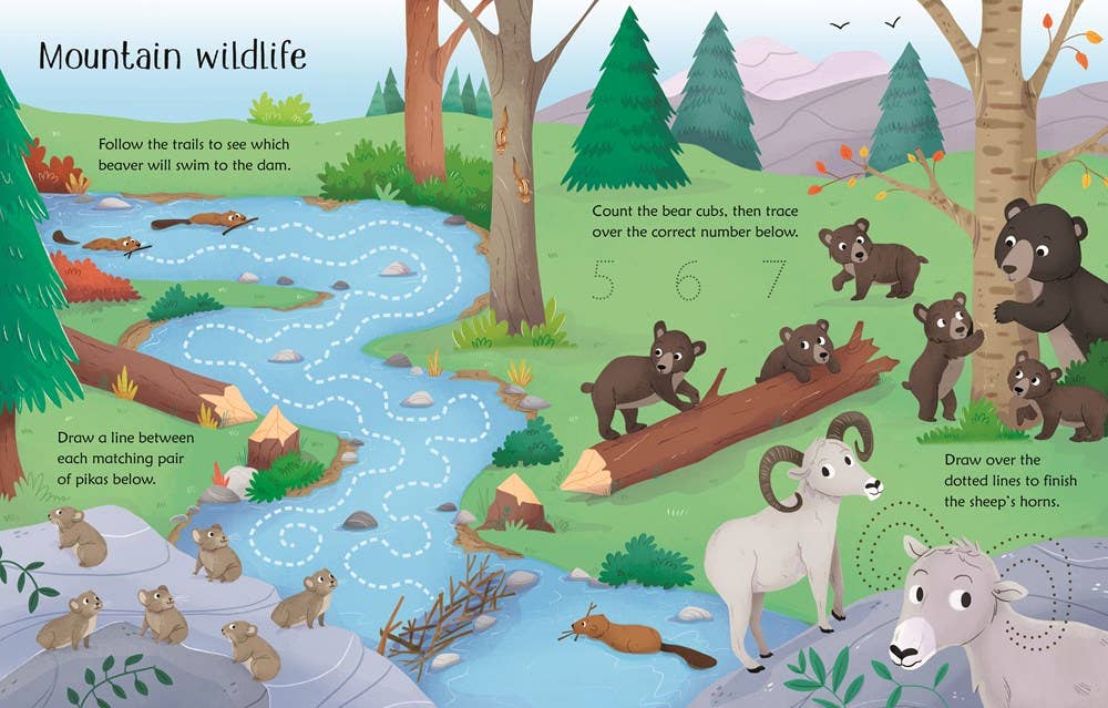 Wipe-Clean Nature Activities : Usborne