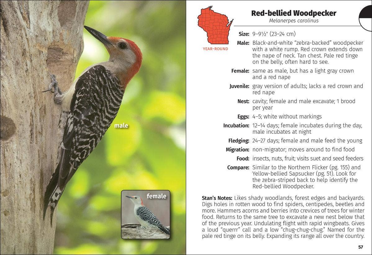 Birds of Wisconsin Field Guide 3e