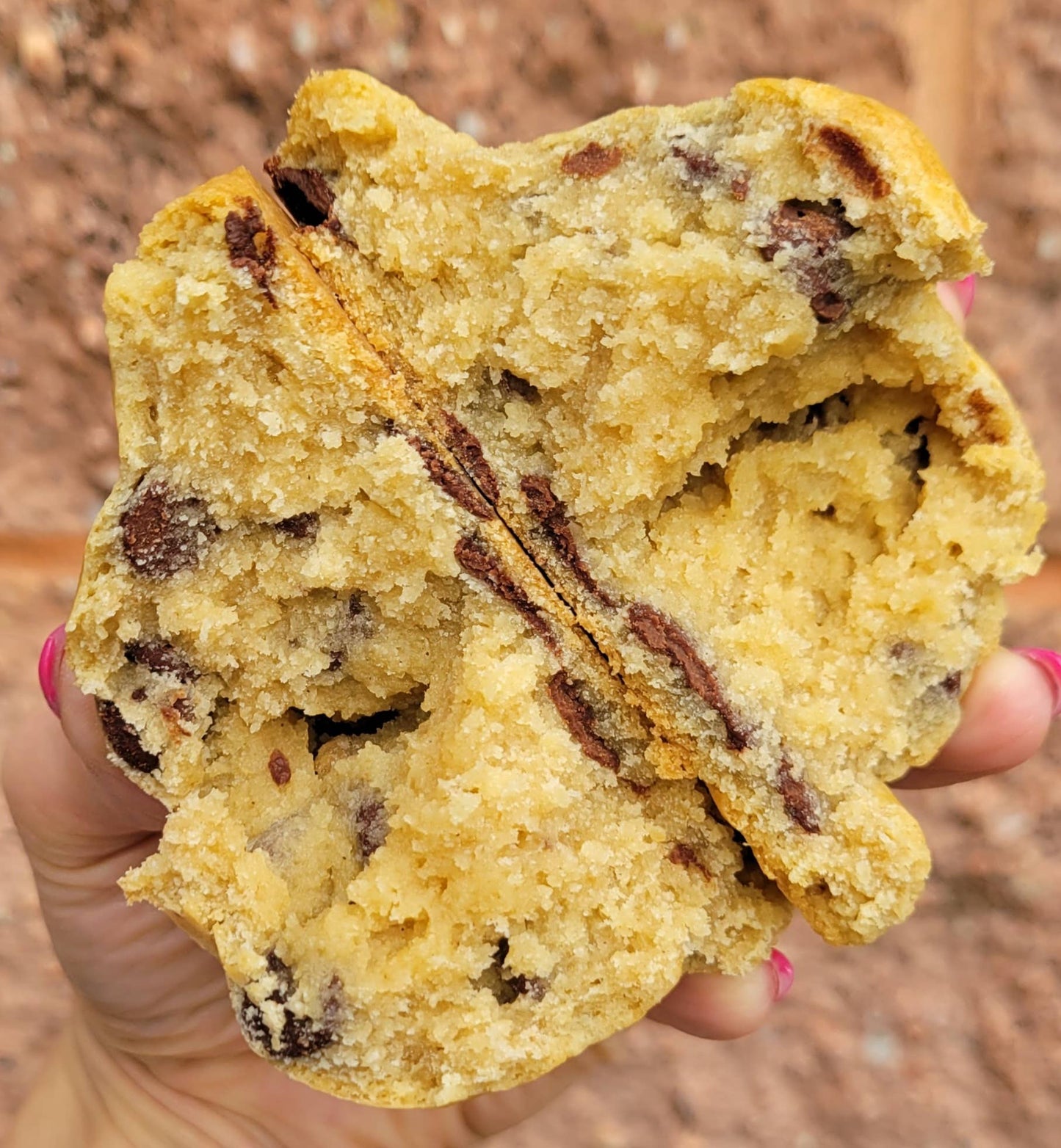 Gluten "Friendly" Chocolate Chip