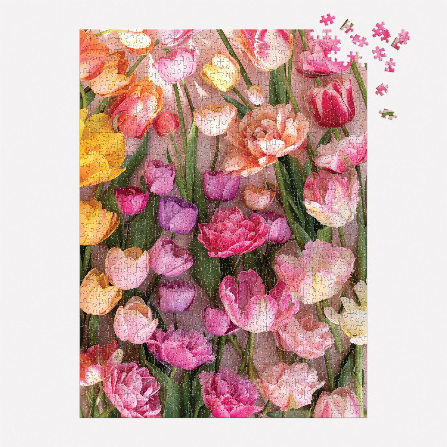 Tulips 1000 Piece Puzzle