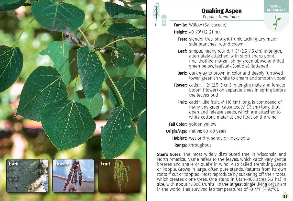 Trees of Wisconsin Field Guide 2e