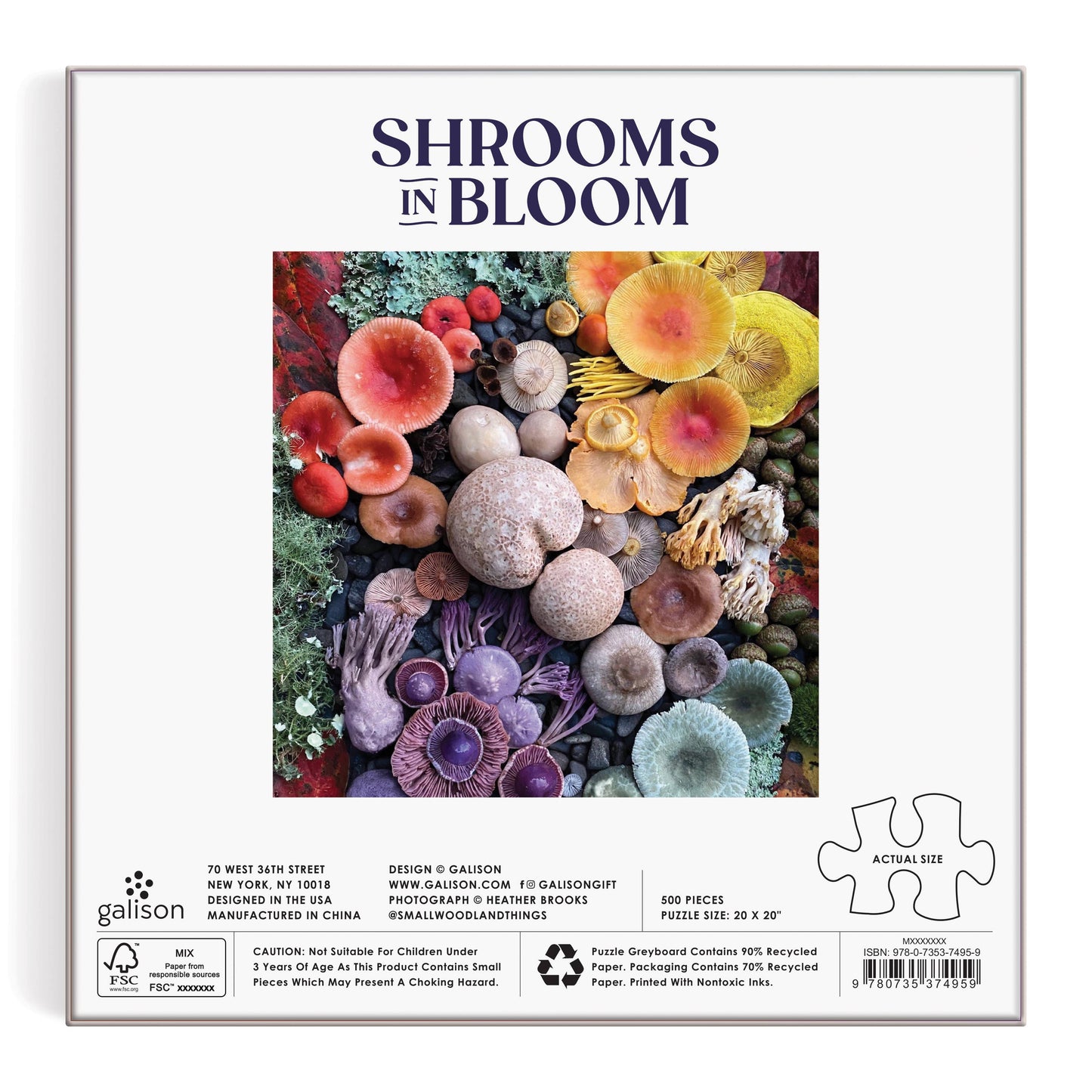 Shrooms in Bloom 500 Piece Puzzle