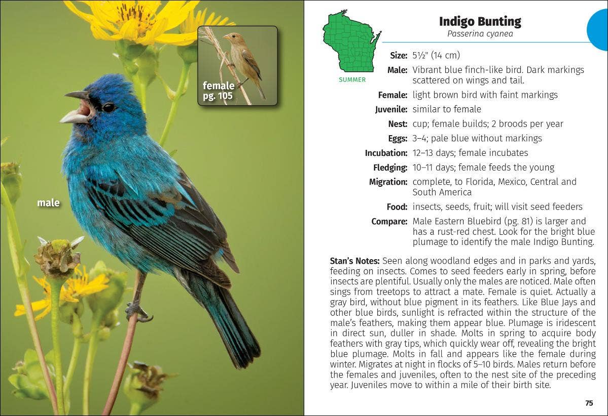 Birds of Wisconsin Field Guide 3e