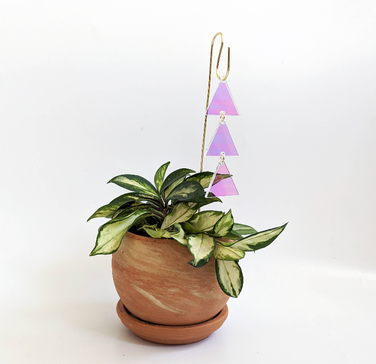 Plant Jewelry Pick