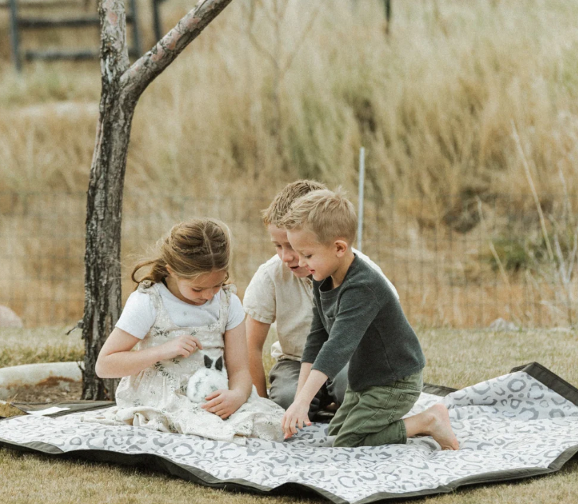 Outdoor Blanket