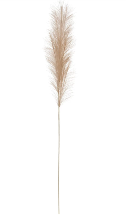 Faux Pampas Grass Plume, Cream Color