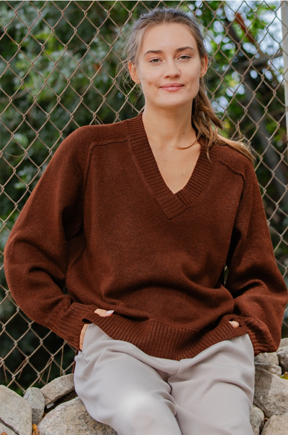 Cozy Cashmere V-Neck Sweater