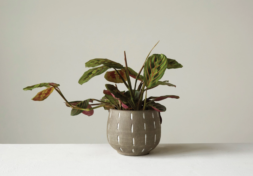 Terracotta Planter with Hand-Painted Lines