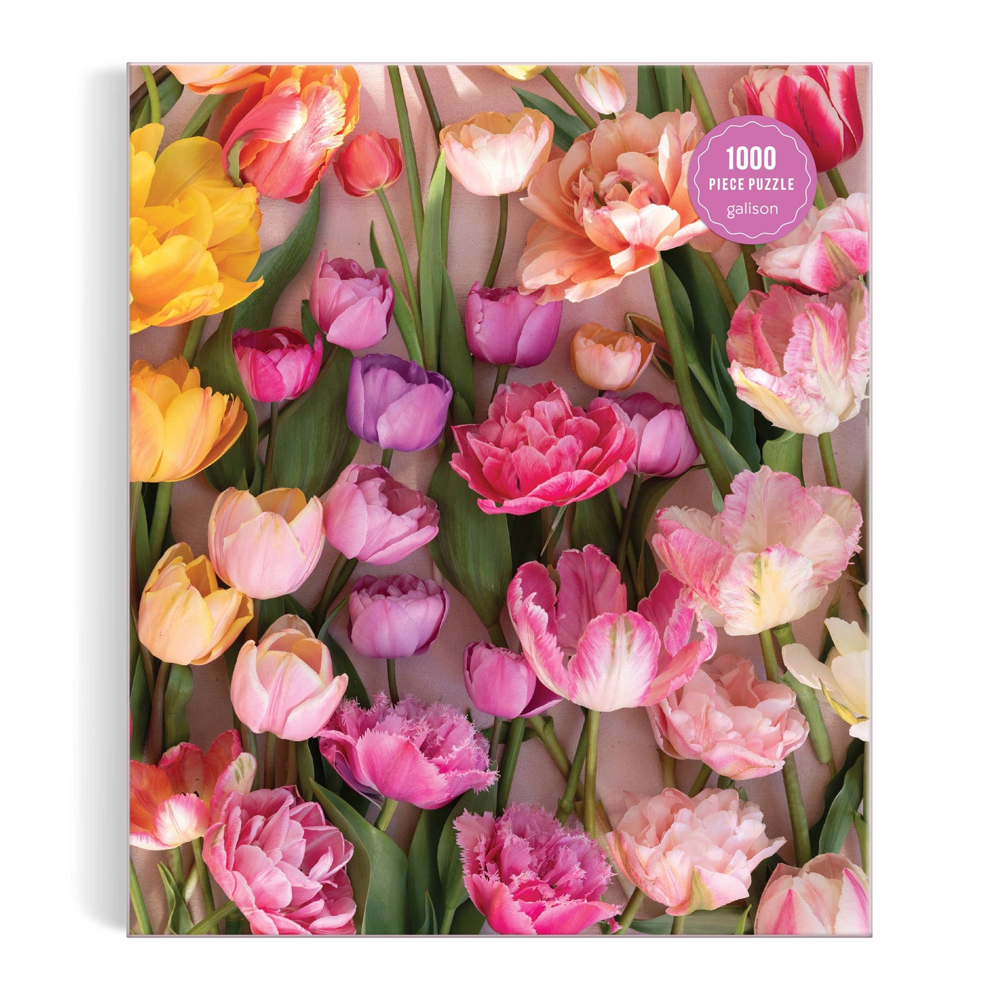 Tulips 1000 Piece Puzzle