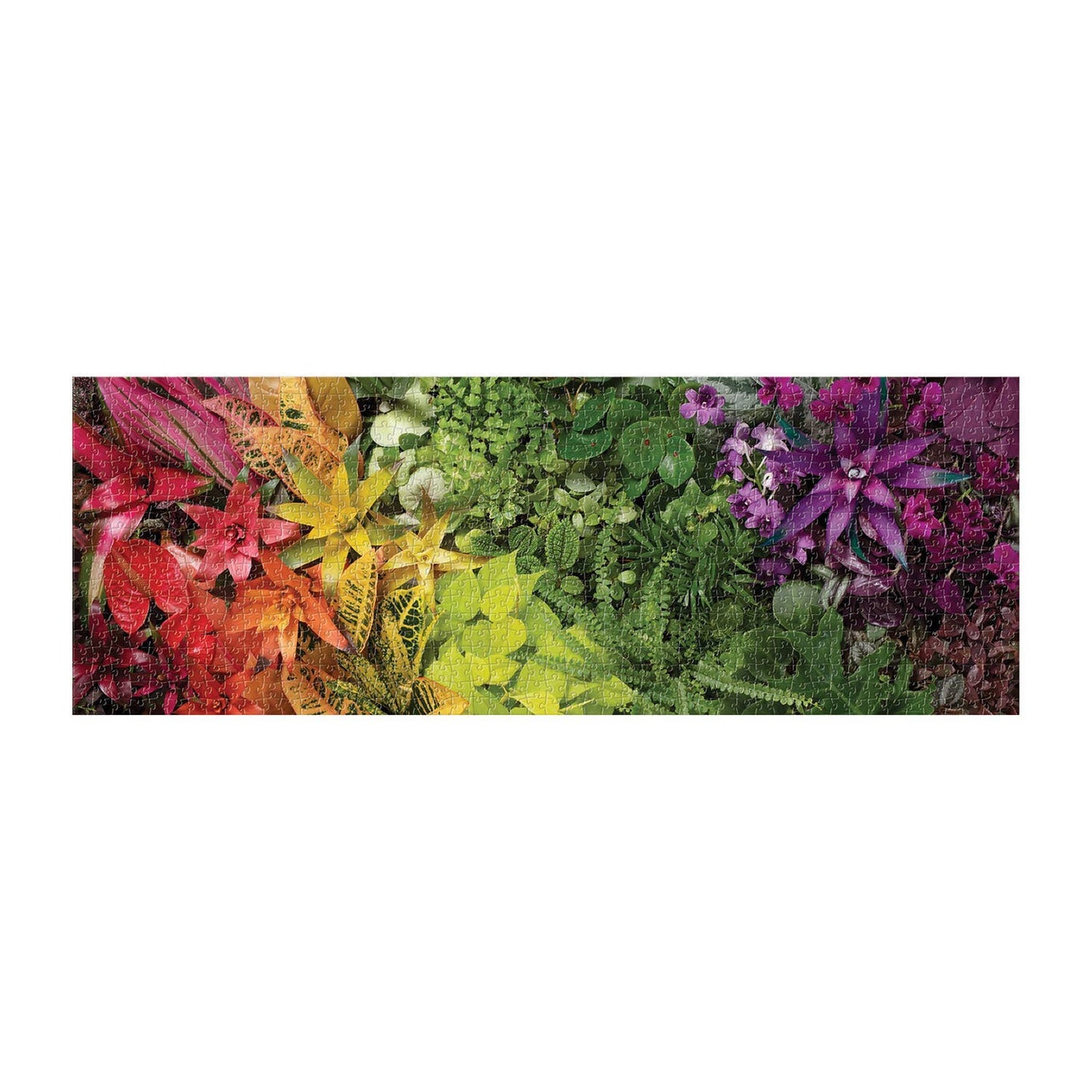 Plant Life 1000 Piece Panoramic Puzzle