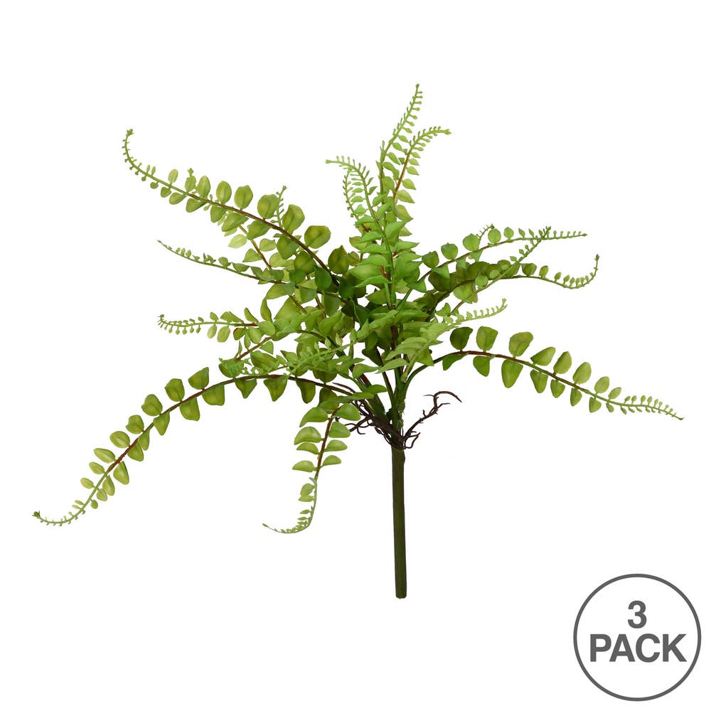 Fern Spray