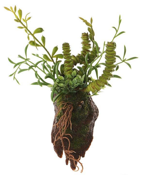 Succulents in Wood Tree Wall Planter - 10"