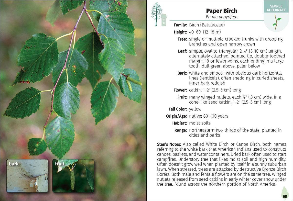 Trees of Wisconsin Field Guide 2e