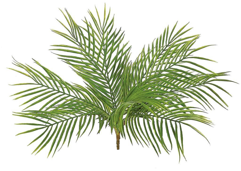 Palm Plant, 20", 9 Fronds, Green