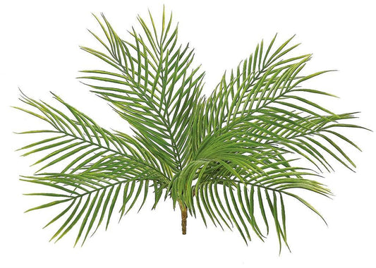 Palm Plant, 20", 9 Fronds, Green