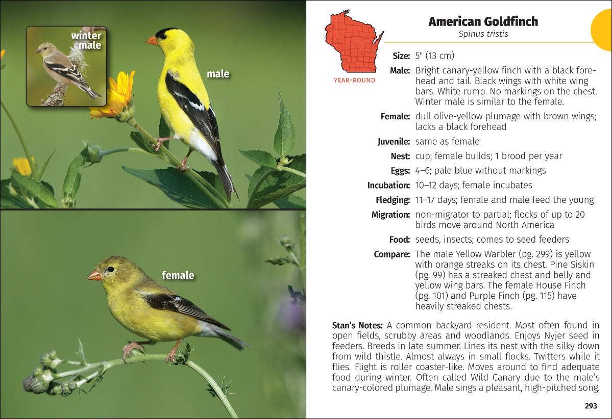 Birds of Wisconsin Field Guide 3e
