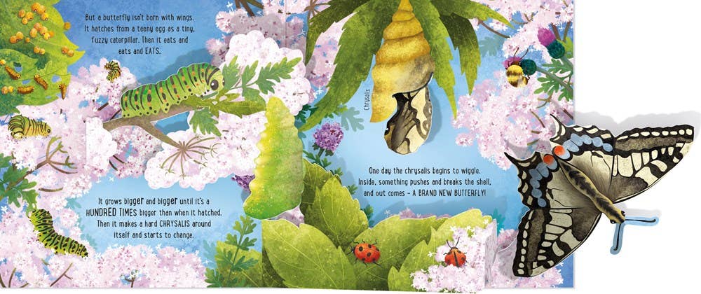 Pop-Up Butterflies: Usborne