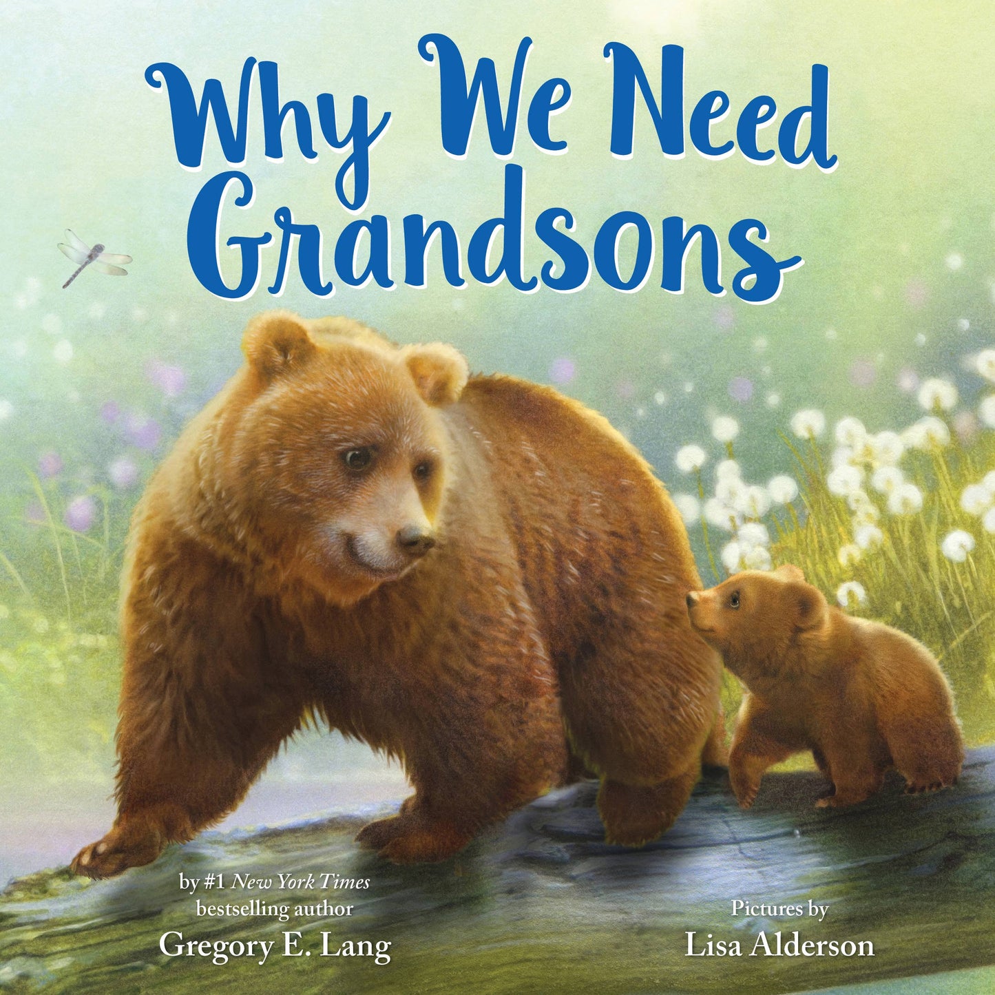 Why We Need Grandsons (HC)