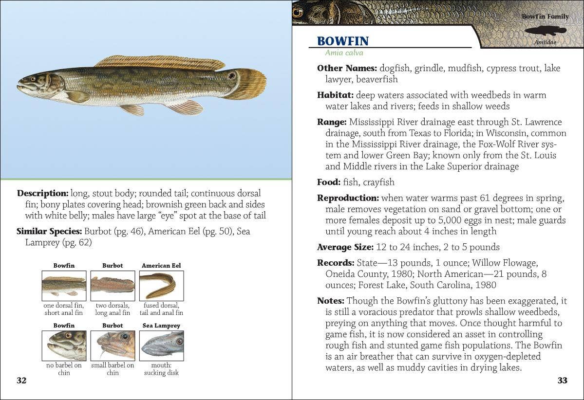 Fish of Wisconsin Field Guide