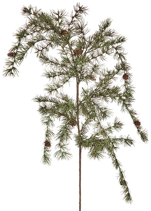 Bonsai Hanging Pine - 39"