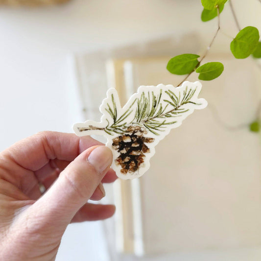 Pinecone sticker